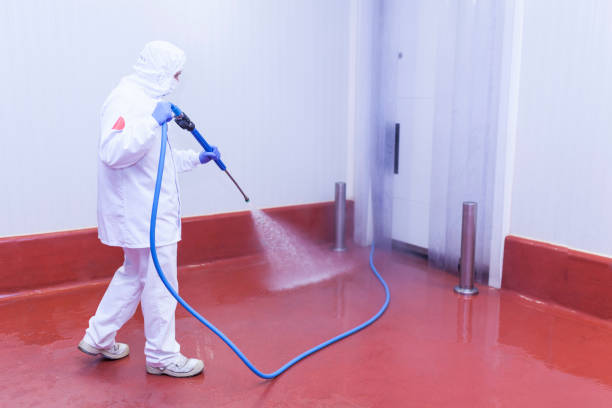 Best Pre-Holiday Cleaning  in Boonville, NC